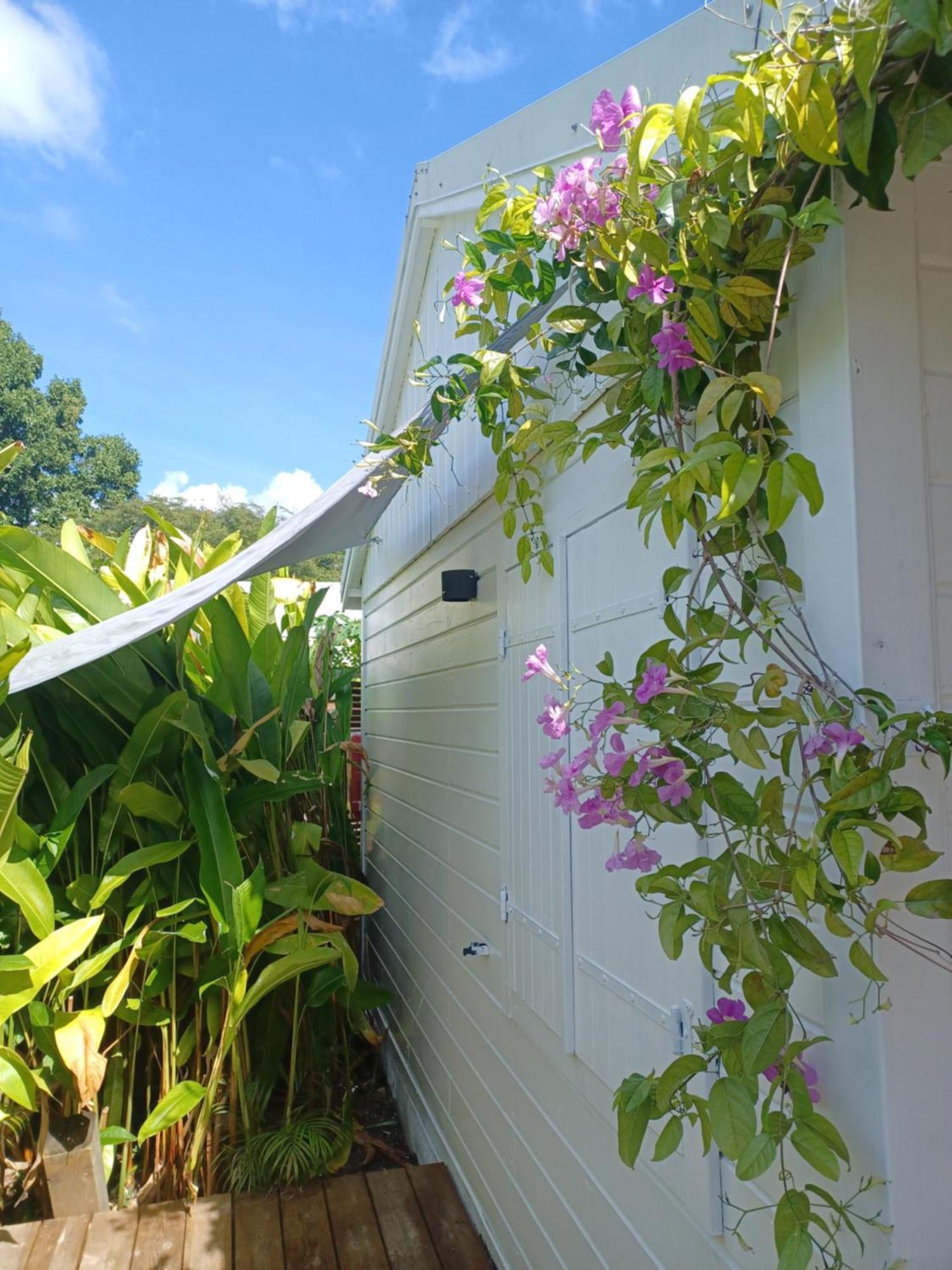 Charmant Bungalow Coco Sainte-Anne  Exterior photo